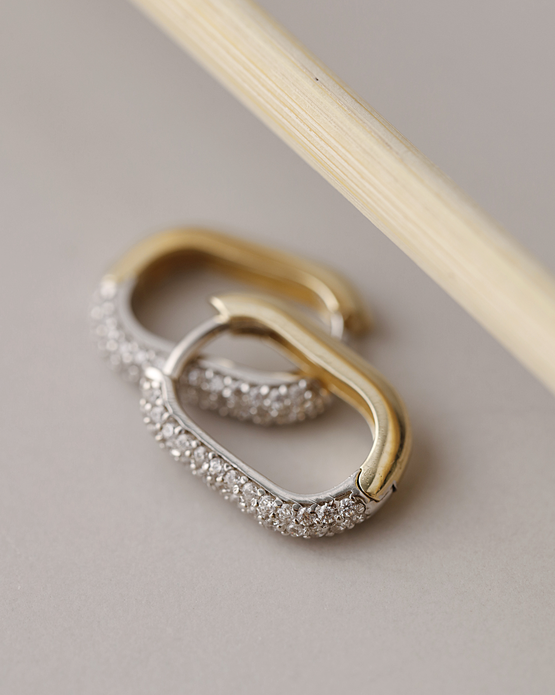 Luxe Shine Earrings