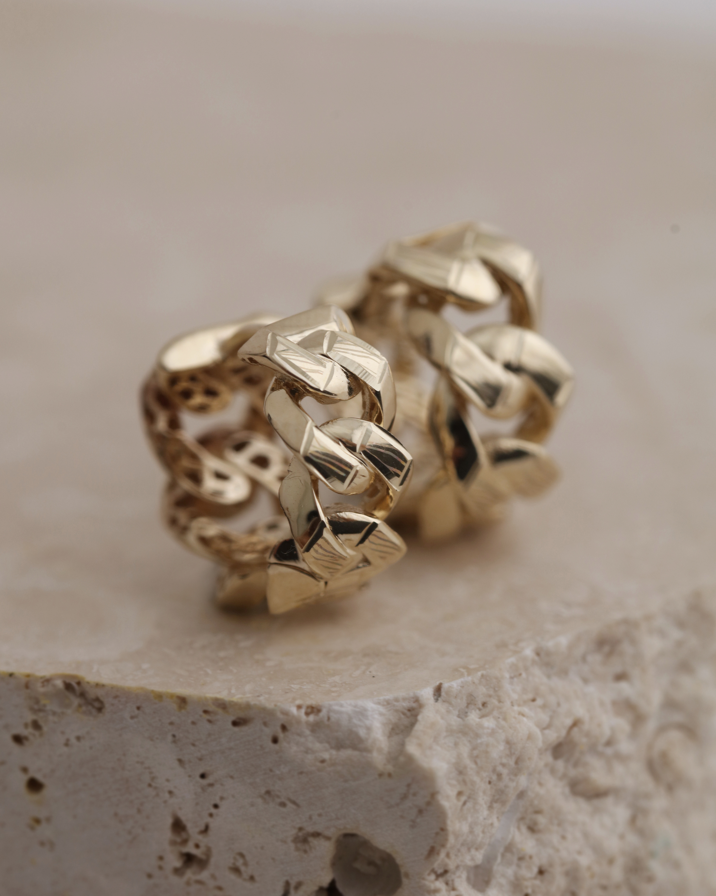 Elegant Charm Earrings