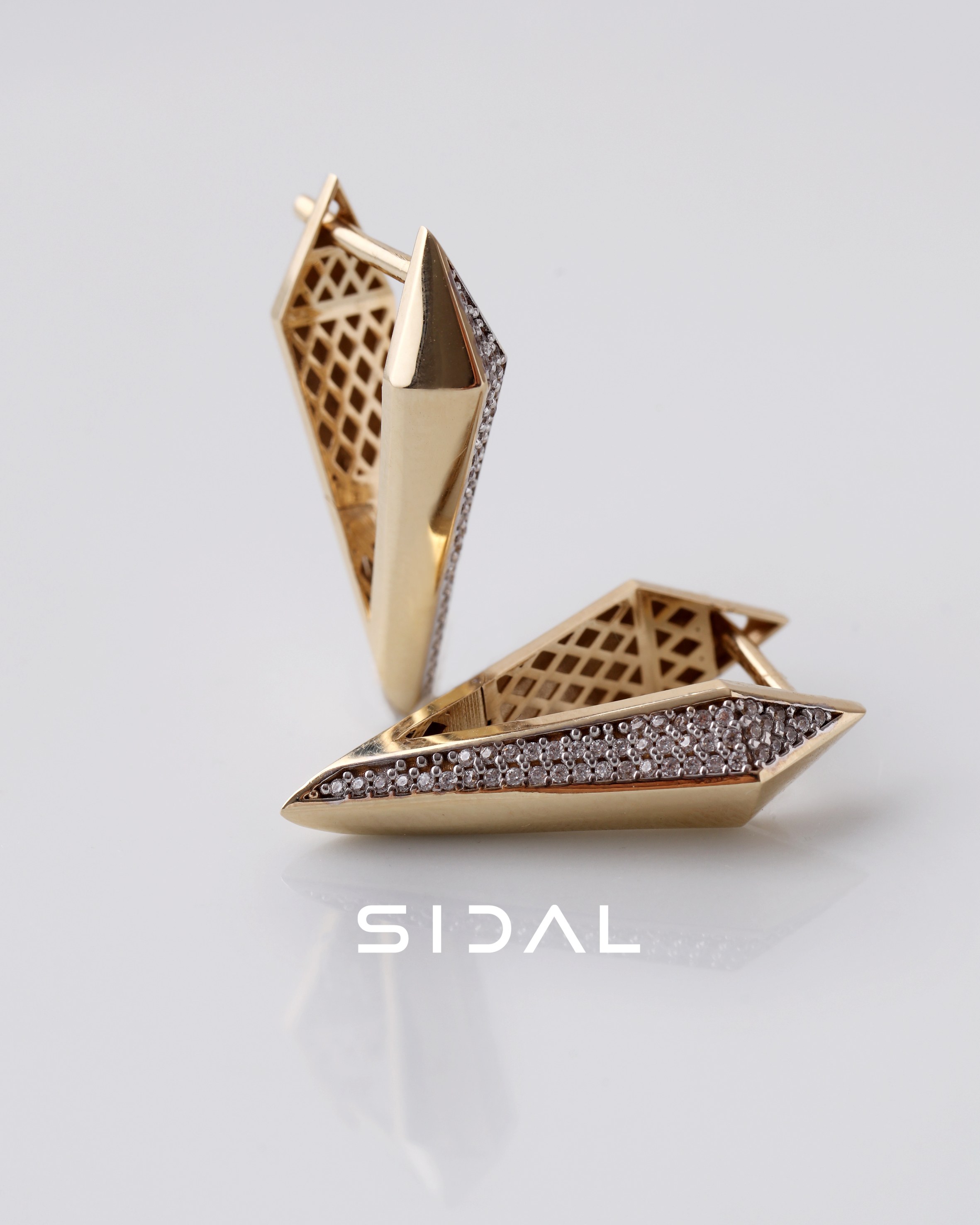 Prestige Shine Earrings